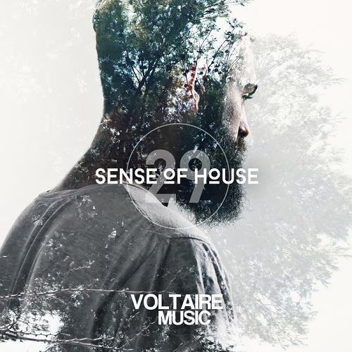 image cover: VA - Sense Of House Vol 29 [VOLTCOMP415]