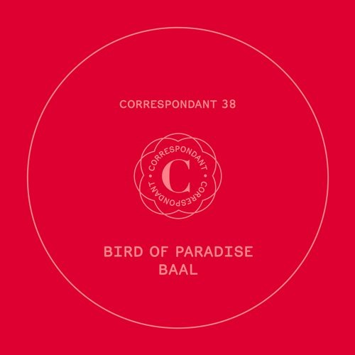 image cover: Bird Of Paradise - Baal [CORRESPONDANT38]