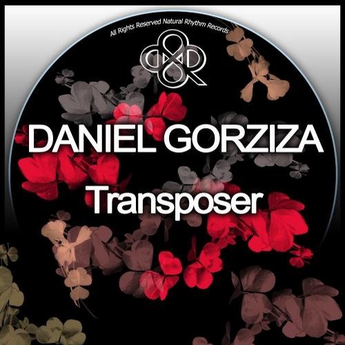 image cover: Daniel Gorziza - Transposer [NR147]