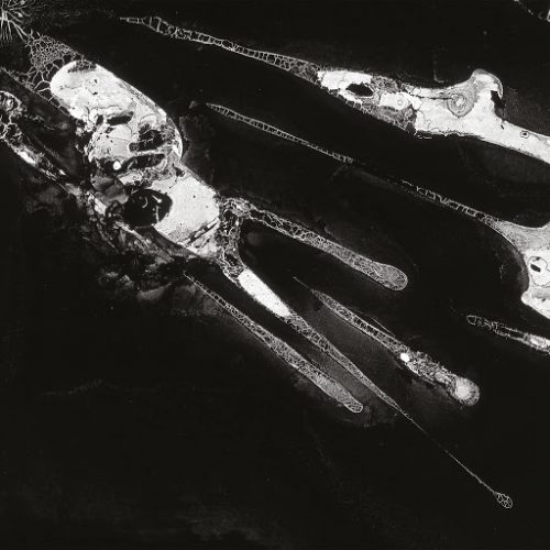 Psychic Health – Psychic Health [TIMENOPLACE021]