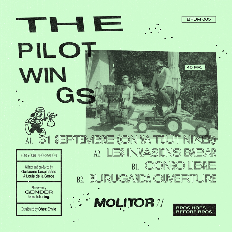 image cover: The Pilotwings - MOLITOR 71 [VINYLBFDM005]