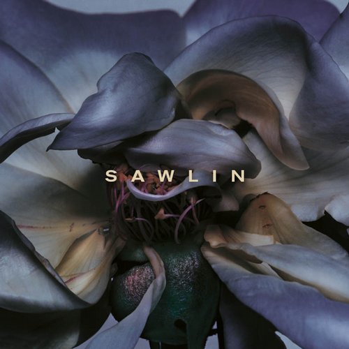 image cover: Sawlin - Ursprung [ALP00]