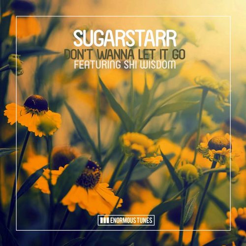 image cover: Shi Wisdom,Sugarstarr - Don't Wanna Let It Go ETR298