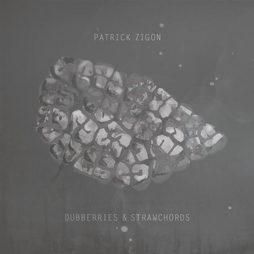 image cover: Patrick Zigon - Dubberries & Strawchords / Biotop