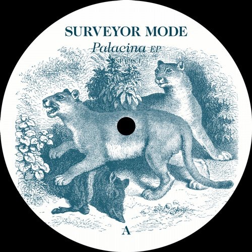 image cover: Surveyor Mode - Palacina EP RSP0981