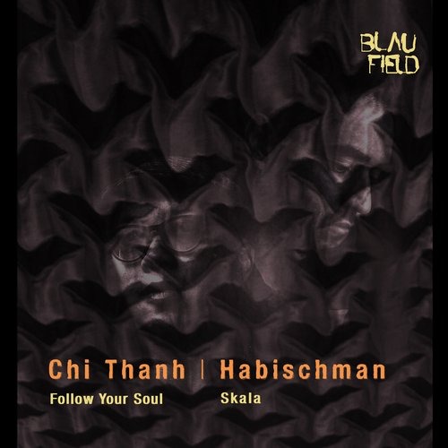 image cover: Chi Thanh - Follow Your Soul / Skala BFMB005