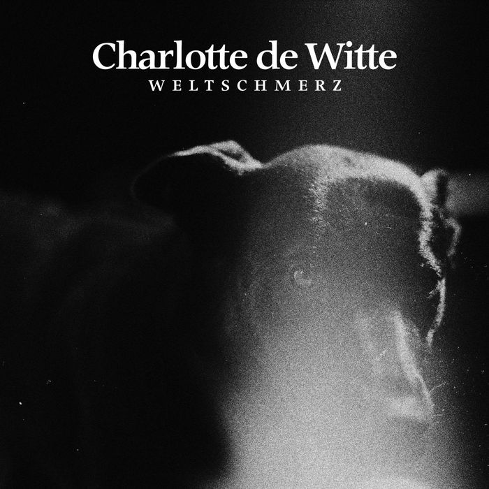 image cover: Charlotte de Witte - Weltschmerz TURBO175