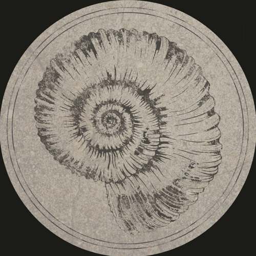 image cover: Roberto - Perisphinctes / Tiziani [FAUK003]