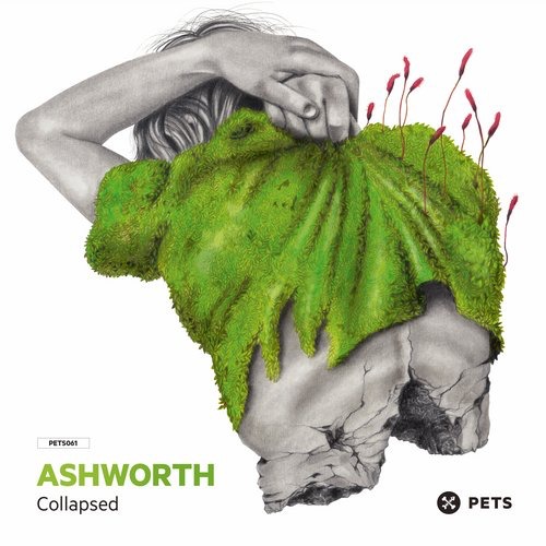 image cover: Ashworth - Collapsed EP PETS061