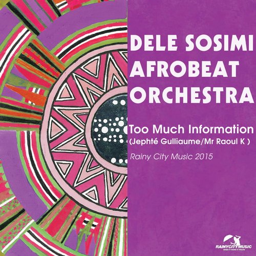 image cover: Dele Sosimi Afrobeat Orchestra Jephte Guillaume, Mr Raoul K - Too Much Information (Remixes) / Rainy City Music