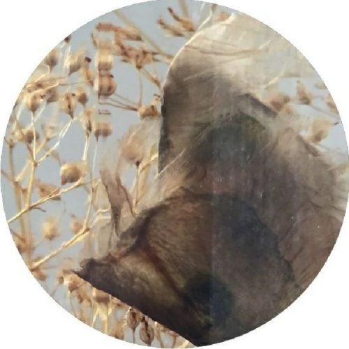 Culture Hub – Insula EP / Invisible Circles / IC04