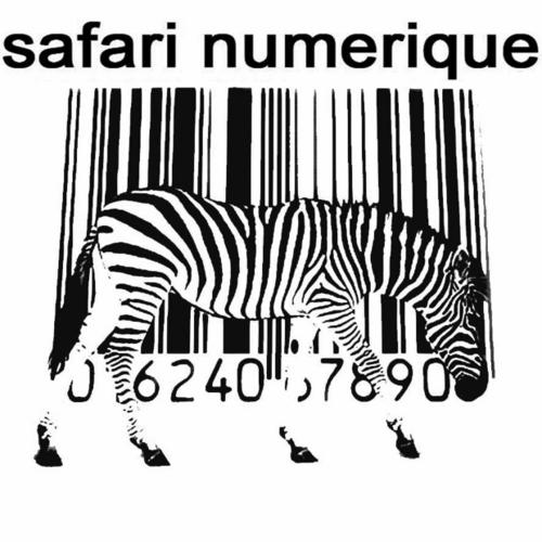 image cover: Acumen, Dyed Soundorom, Echonomist - Sweet Sensation EP / Safari Numerique