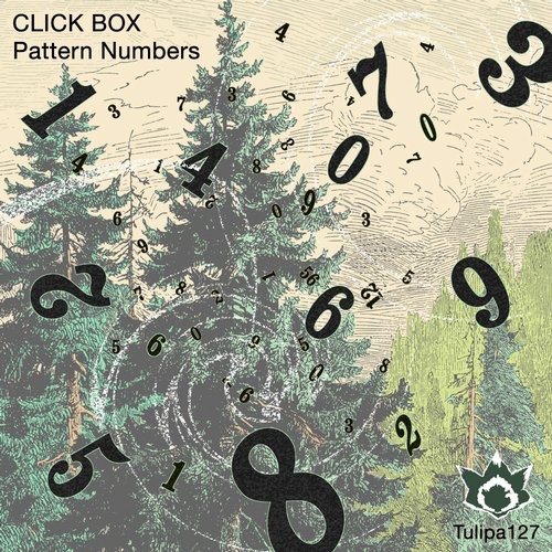 image cover: Click Box - Pattern Numbers / Tulipa Recordings / TULIPA127