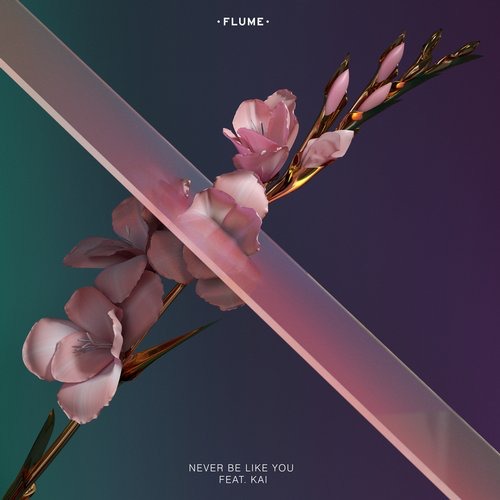 image cover: Flume, Kai - Never Be Like You / Transgressive Records / Co-op / TRANS224