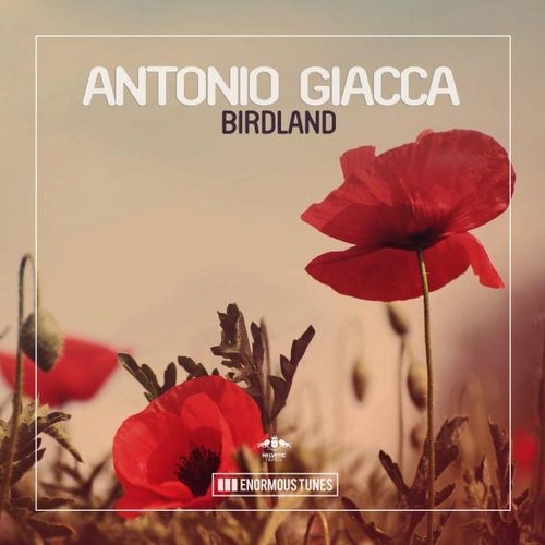 image cover: Antonio Giacca - Birdland / Enormous Tunes / ETR292