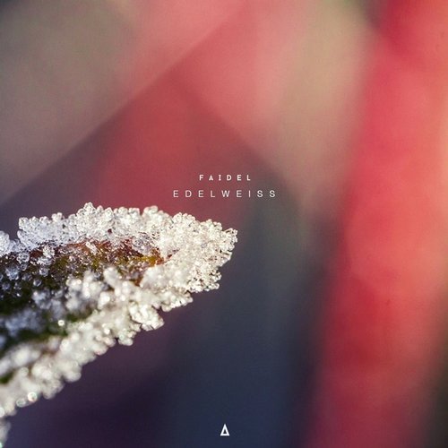image cover: Faidel - Edelweiss / Archives / ARCHIVES18
