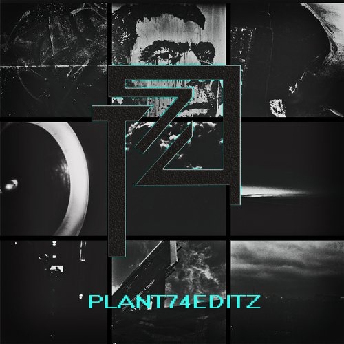 image cover: Bebadim, Tripmastaz - PLANT74EDITZ / Plant 74 / PLANT7440