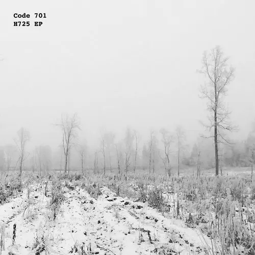 image cover: Code 701, Wunderblock - H725 EP / Wunderblock Records / WR022