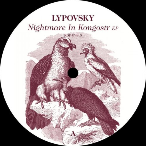 image cover: Lypovsky - Nightmare in Kongostr. / Resopal Schallware / RSP98.8