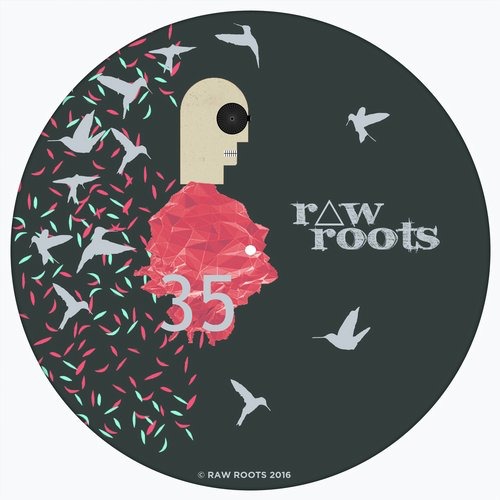 image cover: Temporary Permanence - Mas o Menos / Raw Roots / RAWROOTS035