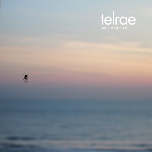 image cover: VA - Telrae Mix By Salz Vol. 5 / Telrae / TELRAEM005