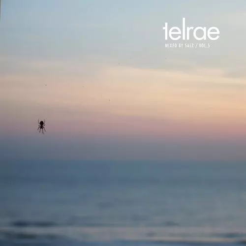 image cover: VA - Telrae Mix By Salz Vol. 5 / Telrae / TELRAEM005