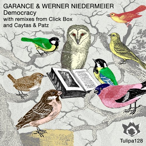 image cover: Werner Niedermeier, Garance - Democracy / Tulipa Recordings / TULIPA128