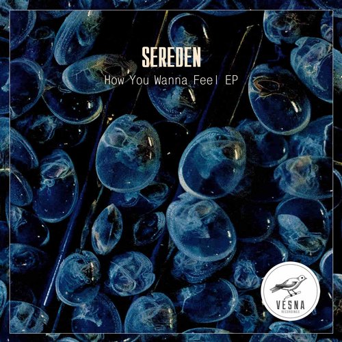 image cover: Sereden - How You Wanna Feel EP / Vesna Recordings / VSN028