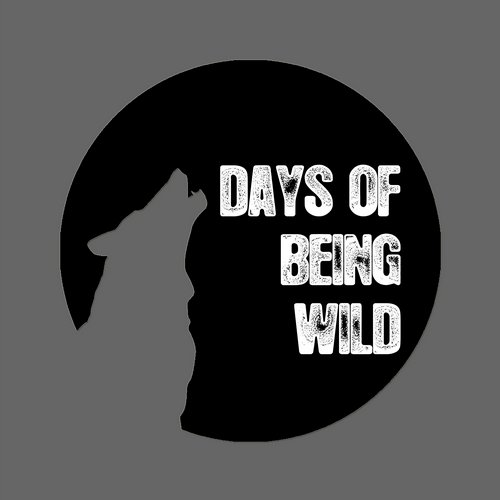 image cover: Fairmont - Obsidian / Onyx / Days Of Being Wild / WILD042