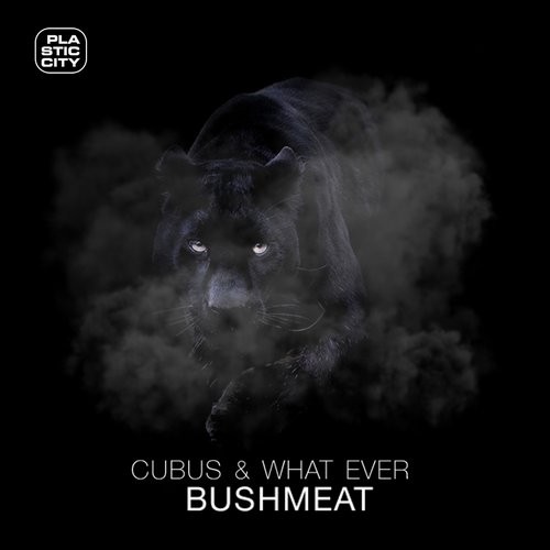 image cover: Cubus & What Ever - Bushmeat / Plastic City. Play / PLAY1678