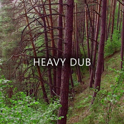 image cover: VA - Heavy Dub / Cold Tear Records / CTR069