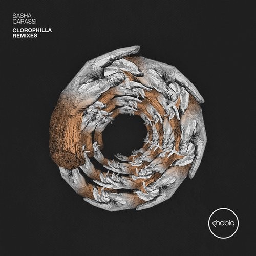 image cover: Sasha Carassi - Clorophilla / Phobiq / PHOBIQ0132D