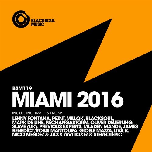 image cover: Various Artists - MIAMI 2016 / Blacksoul Music / BSM119