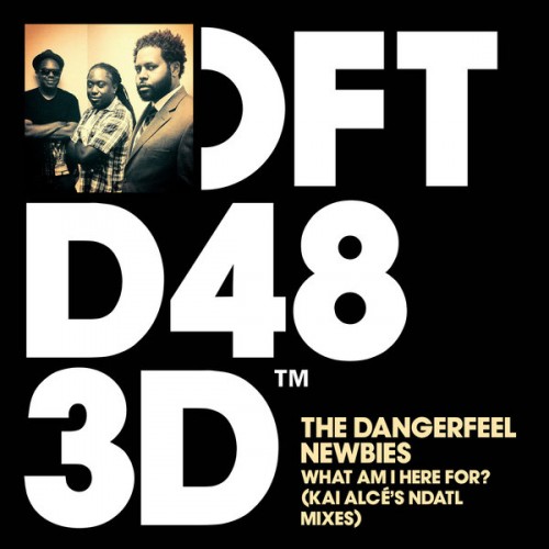 image cover: The DangerFeel Newbies - What Am I Here For? / Defected / DFTD483D