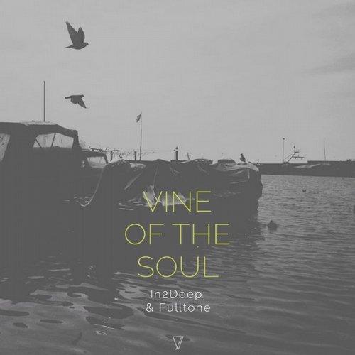image cover: In2Deep, Fulltone - Vine of the Soul / Seven Villas / 7V016