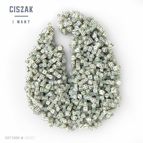 image cover: Ciszak - I Want / DIRTYBIRD Select / DBS001