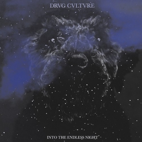 image cover: Drvg Cvltvre - Into The Endless Night / Pinkman / PNKMN-LP01