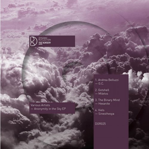 image cover: VA - Anonymity In The Sky EP / Dynamic Reflection / TN001