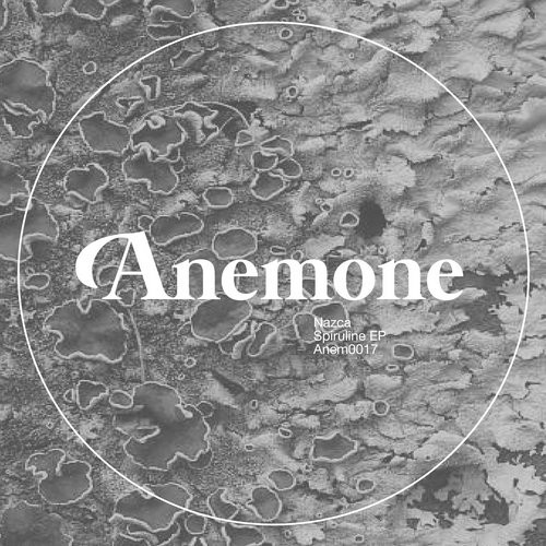 image cover: Nazca - Spiruline / Anemone Recordings / ANEM0017