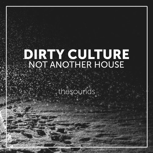 image cover: Dirty Culture - Not Another House / TheSounds / THES137