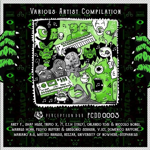 image cover: Various Artist Compilation 3 / Perception Dub / PCDD0003