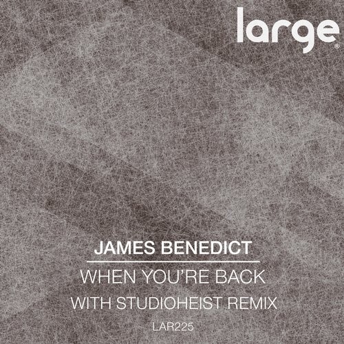 image cover: James Benedict - When You're Back / Large Music / LAR225