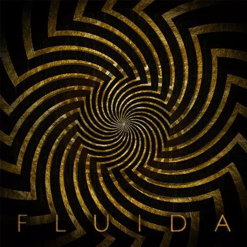 image cover: Fluida - Gold Spiral / Southern Fried Records / ECB416