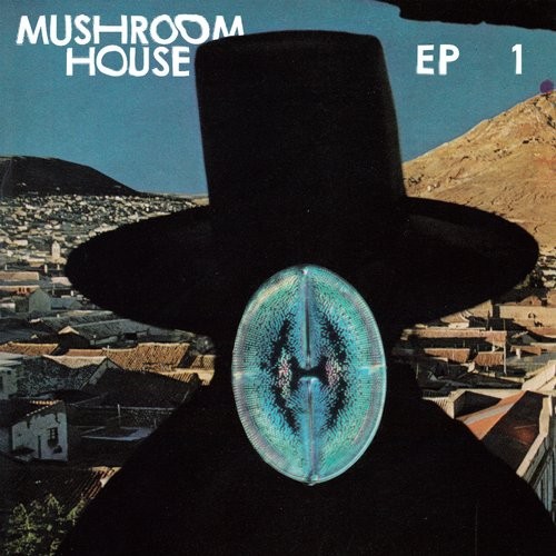 image cover: Mushroom House EP1 / Toy Tonics / TOYT052