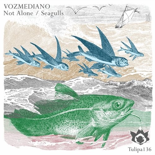 image cover: Vozmediano - Not Alone/Seagulls / Tulipa Recordings / TULIPA136