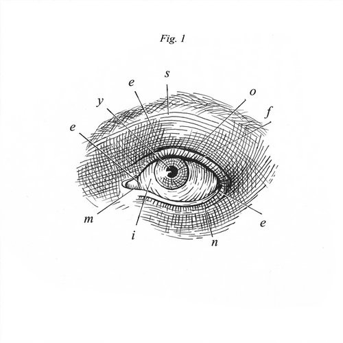 image cover: Eyes Of Mine - Fig 1 / Eyes of Mine / EOM001D