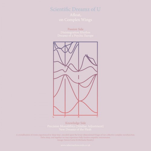image cover: Scientific Dreamz Of U - Afloat, on Complex Wings / Tabernacle Records / Tabernacle Records – TABR035
