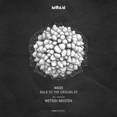 image cover: Wade - Back To Origins / Moan / MOAN055
