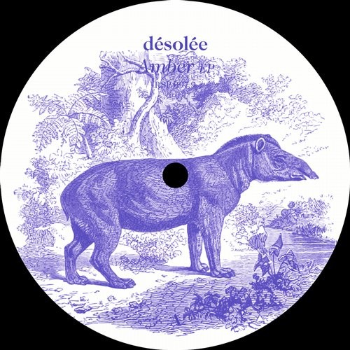 image cover: désolée - Amber EP / Resopal Schallware / RSP979