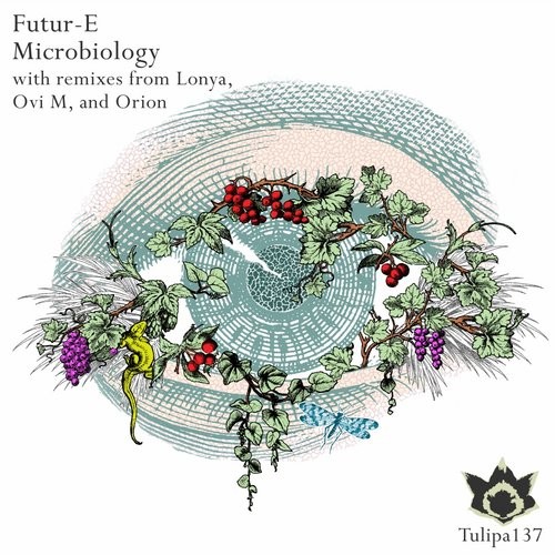 image cover: Futur-E - Microbiology / Tulipa Recordings / TULIPA137